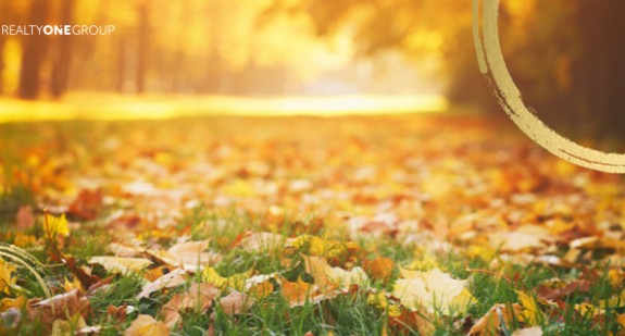 The Ultimate Fall Bucket List